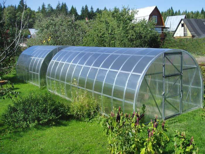 نورگیر پلی کربنات برای گلخانه